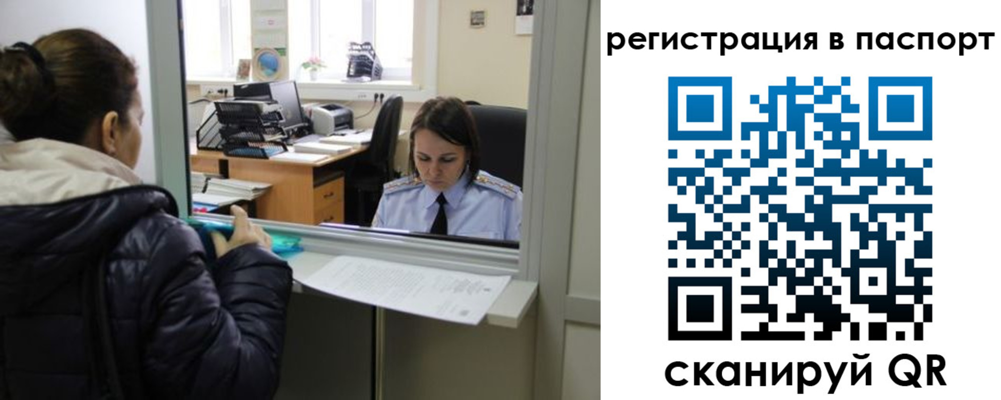 временная регистрация поиск в Светлом